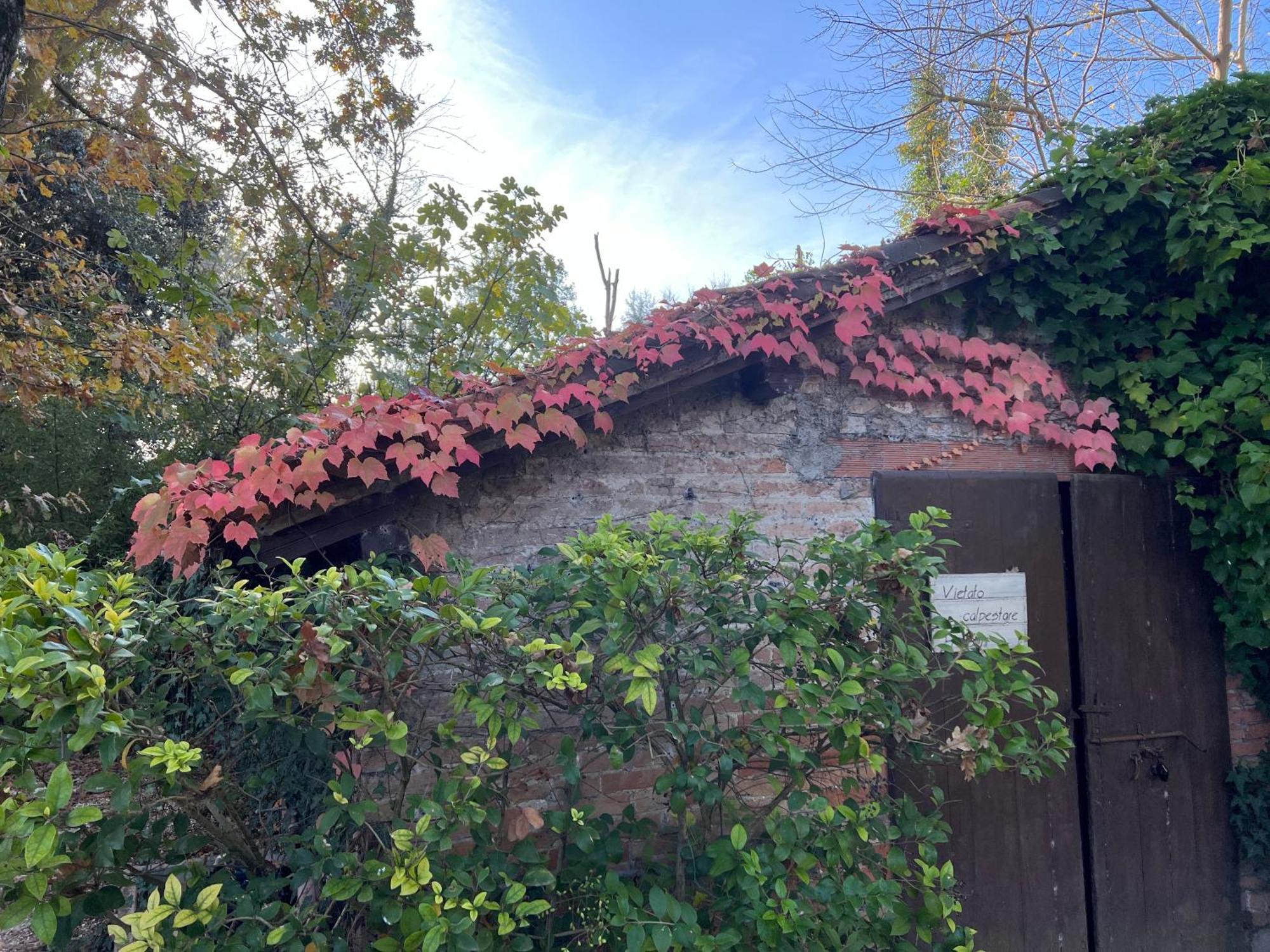 Casa Delle Meridiane Bed & Breakfast 3*
